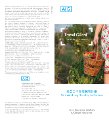 AIG Working Holiday - Brochure.pdf